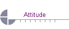 Attitude